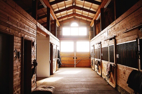 horse stall barn